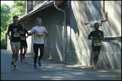 IMG_1941-T