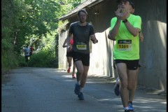 IMG_1969-T