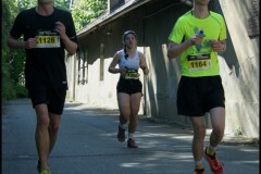 IMG_1995-T