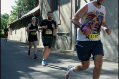 IMG_2036-T