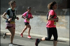 IMG_2042-T