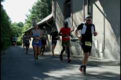 IMG_2043-T