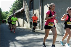 IMG_2091-T