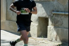 IMG_2244-T