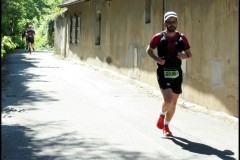 IMG_2247-T