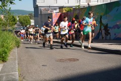 DSC02546