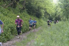 DSC8339_DxO